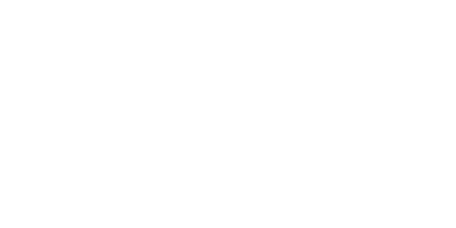 Bali Biza